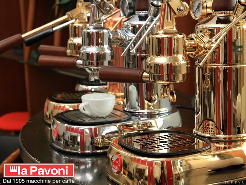 Pavoni